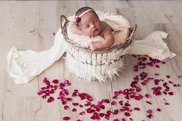 Baby Shower Photography